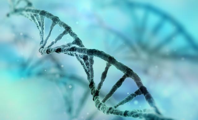 Nauènici uzbuðeni zbog otkriæa gena povezanih s Alchajmerom
